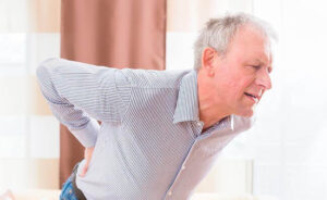 HealthQuest Physical Therapy low back pain