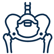 icon of hip